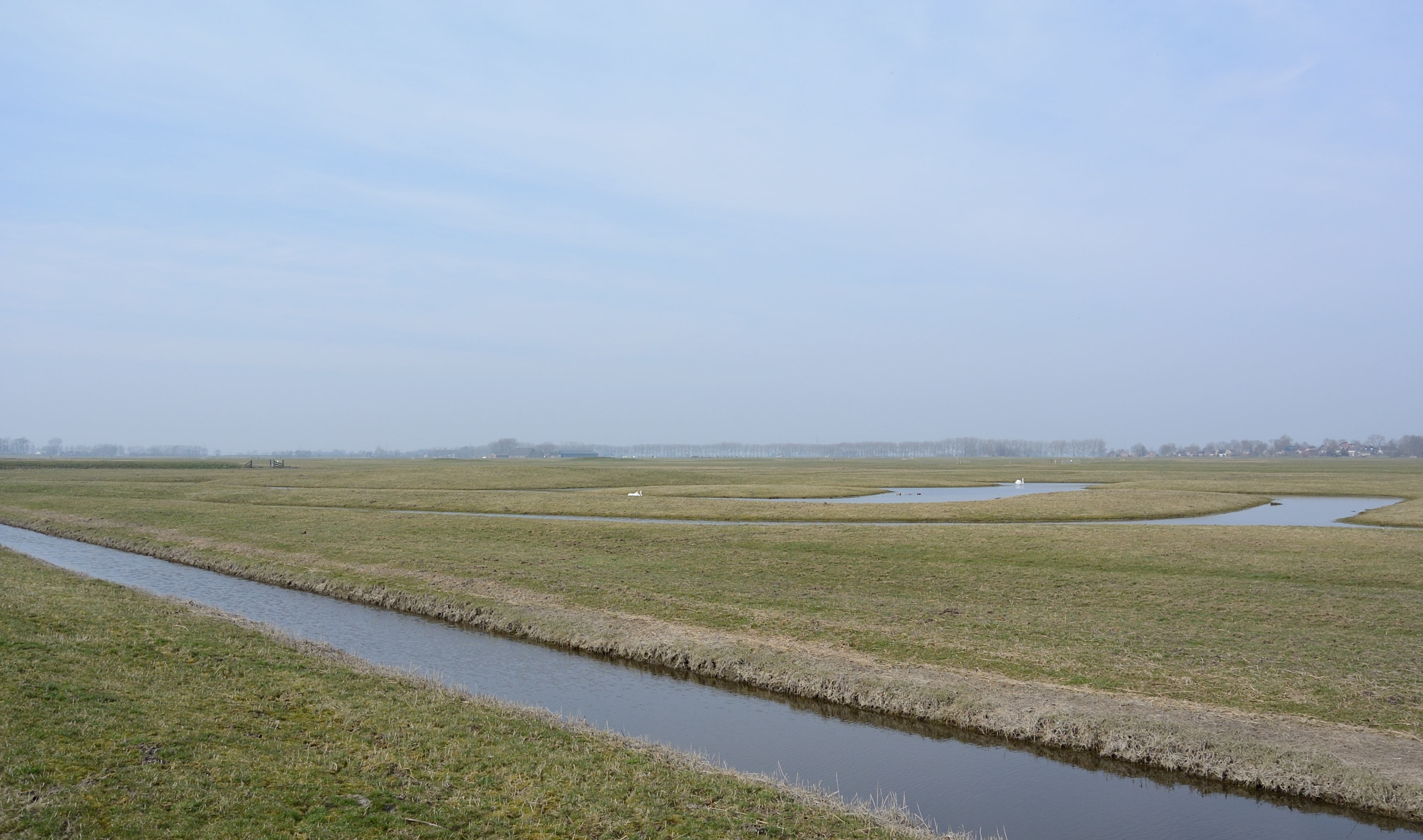 /kraai/foto/2015/2015-03-17 Harssens/DSC_1074_022.jpg